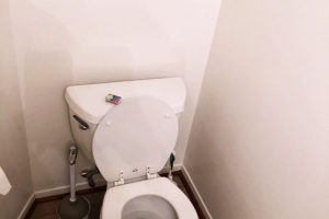 malibu-bathroom04